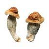 Buy Melmac Magic Mushrooms Online